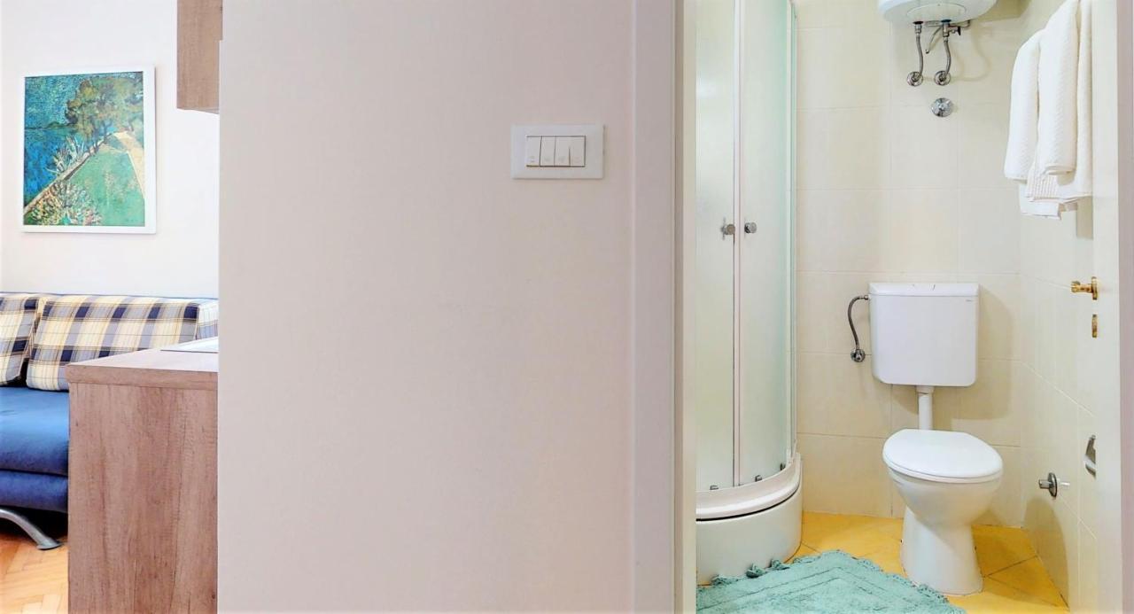 Apartment Branka